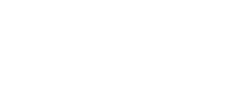 Monique P Wills – Luxury Real Estate Expert